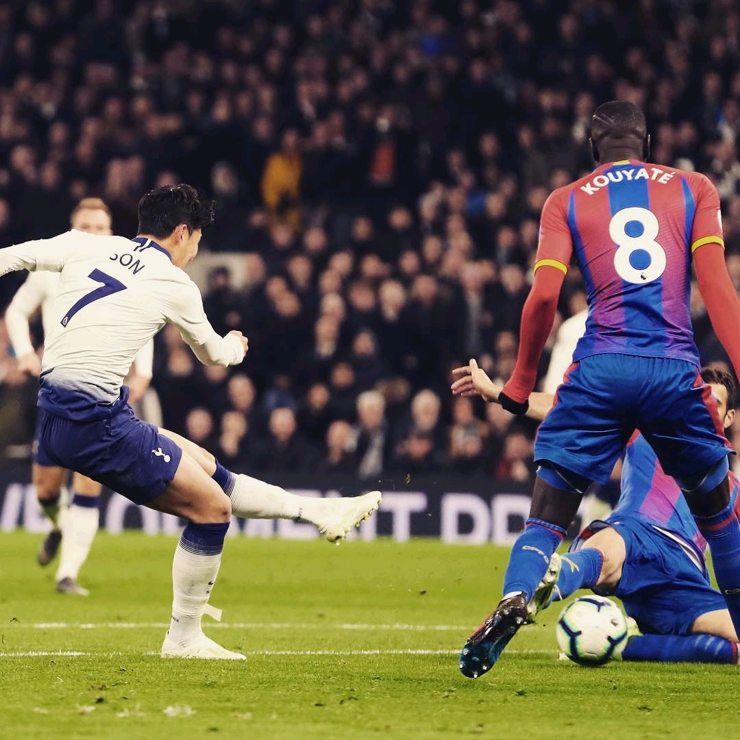 竞技水平的 竞技水平的